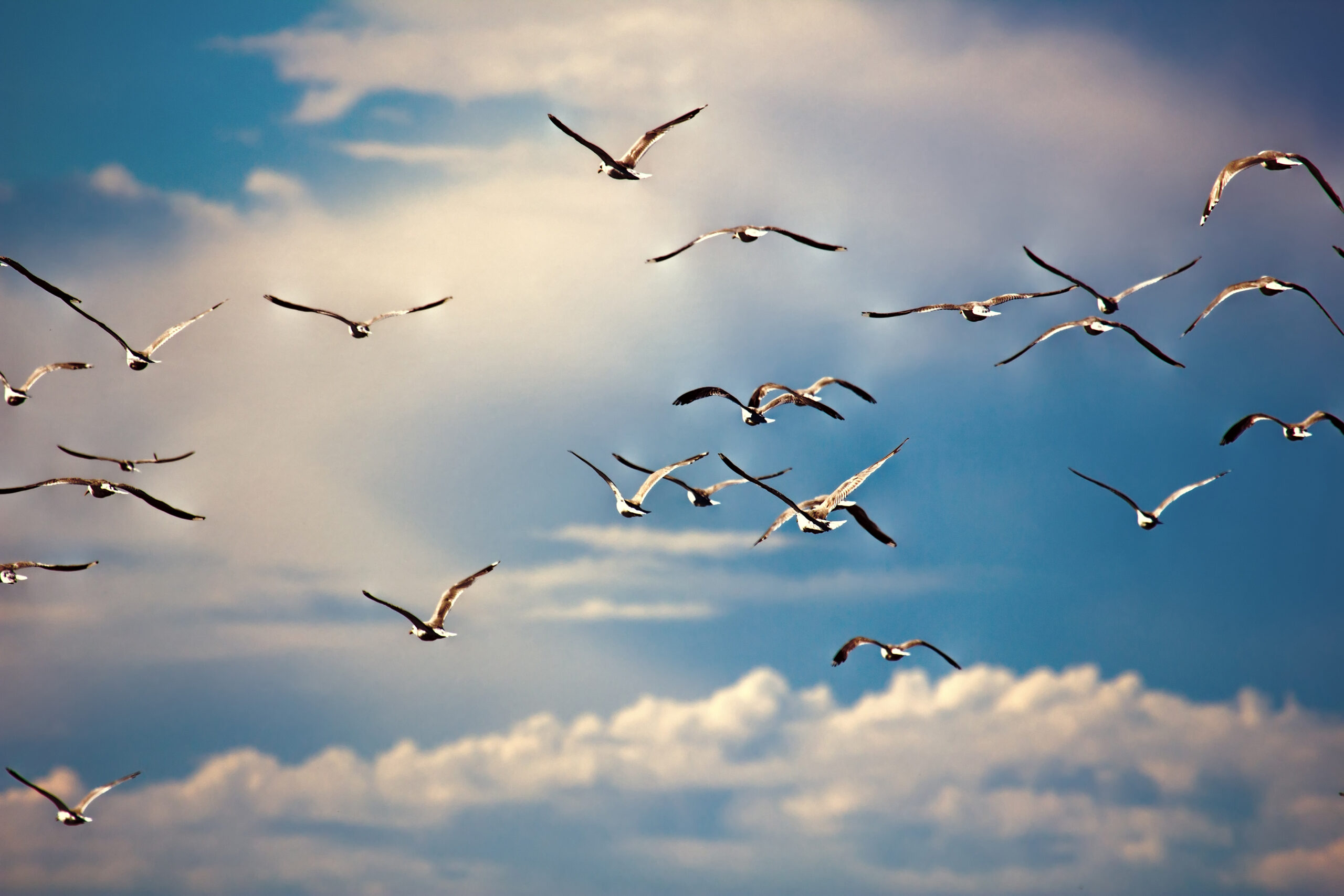 Assuring a Successful Cloud Migration: 5 Steps